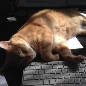 Meet your Posher, Erin